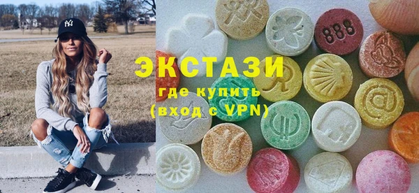 гидра Богородицк