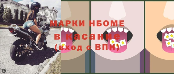 гидра Богородицк