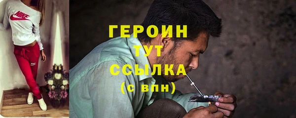 гидра Богородицк