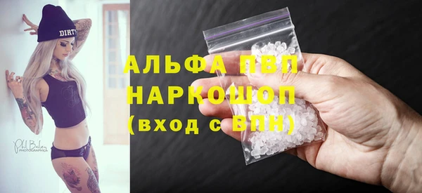 гидра Богородицк