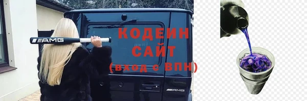 молекула духа Богородск