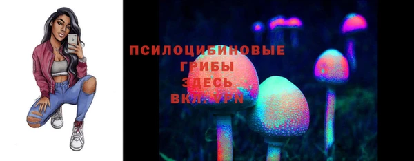 гидра Богородицк