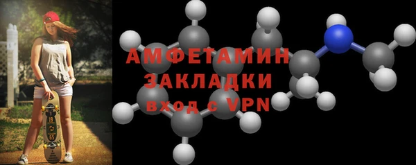 гидра Богородицк