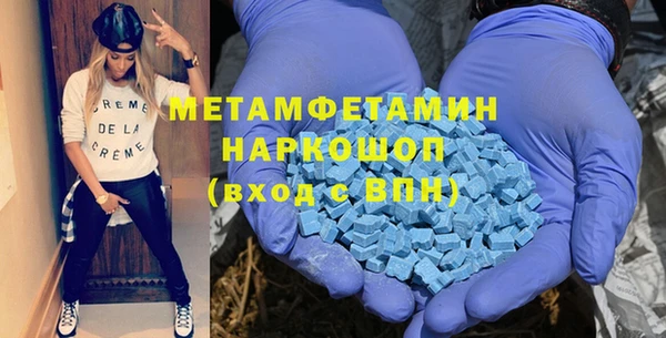 гидра Богородицк