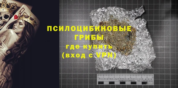 молекула духа Богородск