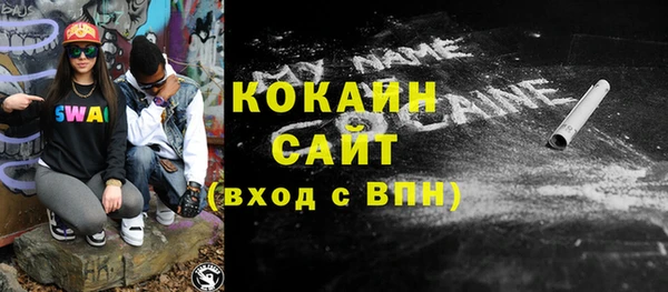 гидра Богородицк