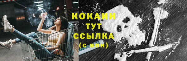 молекула духа Богородск