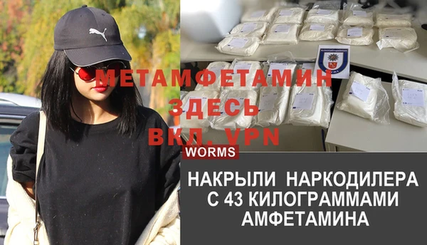 гидра Богородицк
