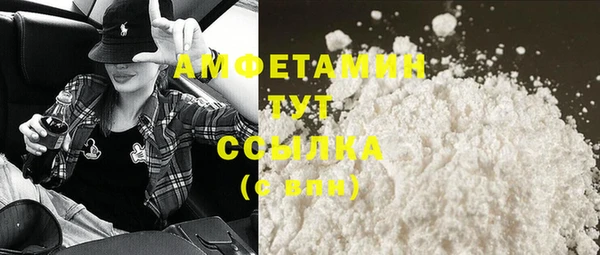 гидра Богородицк