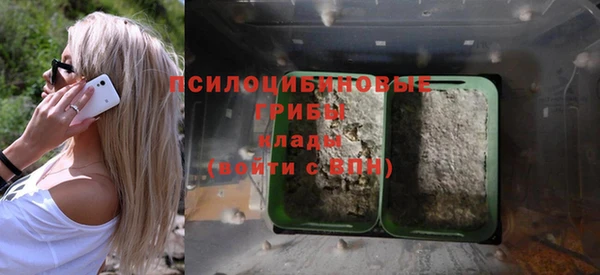 хмурый Богданович