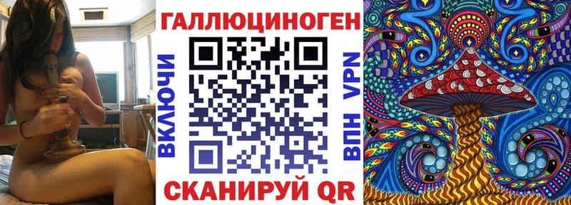 Псилоцибиновые грибы прущие грибы  даркнет сайт  Киренск 
